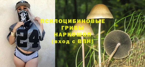 мет Абаза