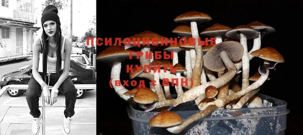 МДПВ Алексин