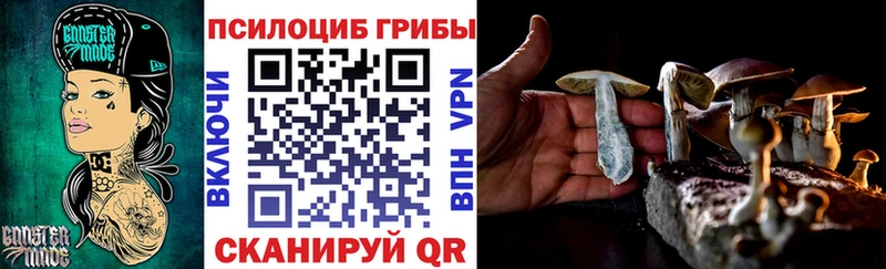 Псилоцибиновые грибы мицелий  Княгинино 